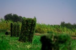 GALLERY-04