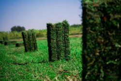 GALLERY-05