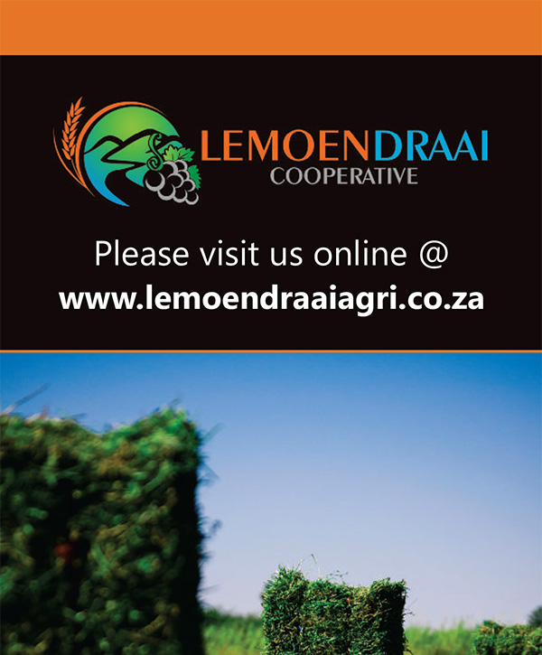 FT-PUBLICATIONS: Trifold Brochure Lemoendraai